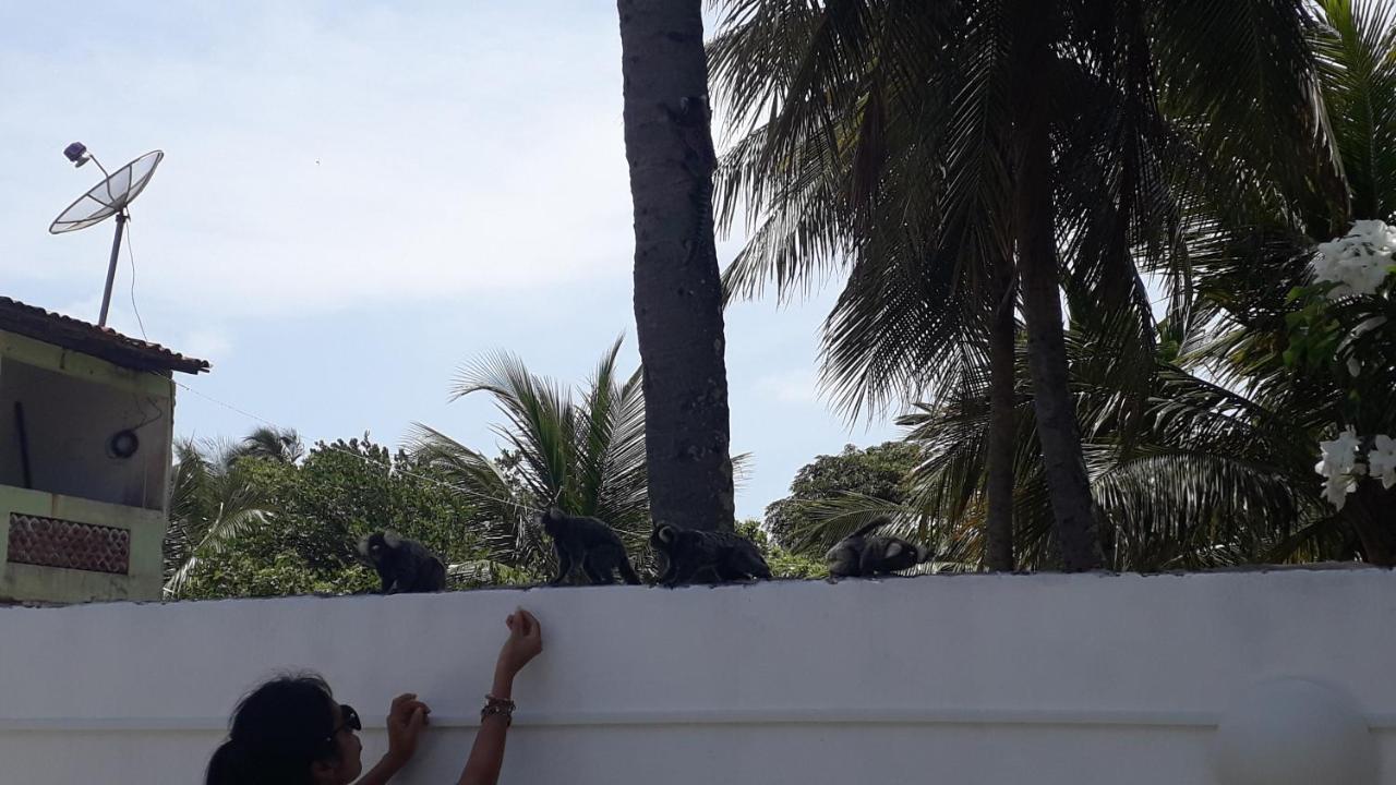 Tamandaré Pousada Caribe Nordestino מראה חיצוני תמונה