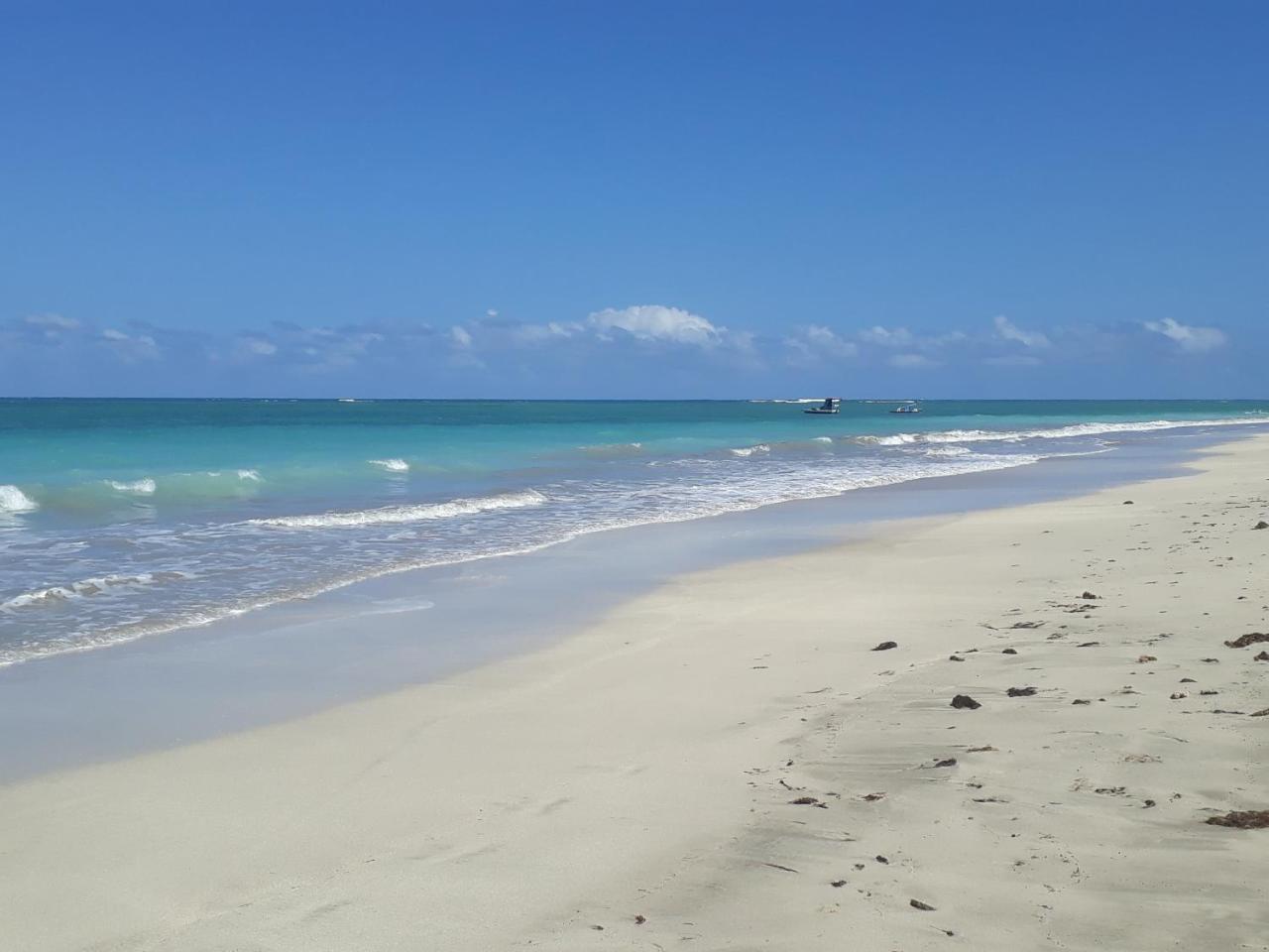 Tamandaré Pousada Caribe Nordestino מראה חיצוני תמונה